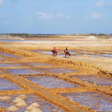 شقة Salzen Portas De Sol سانتا ماريا المظهر الخارجي الصورة