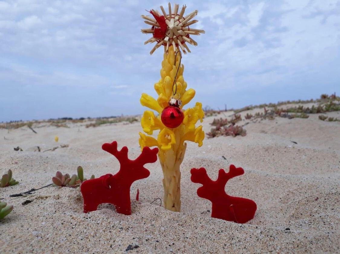 شقة Salzen Portas De Sol سانتا ماريا المظهر الخارجي الصورة